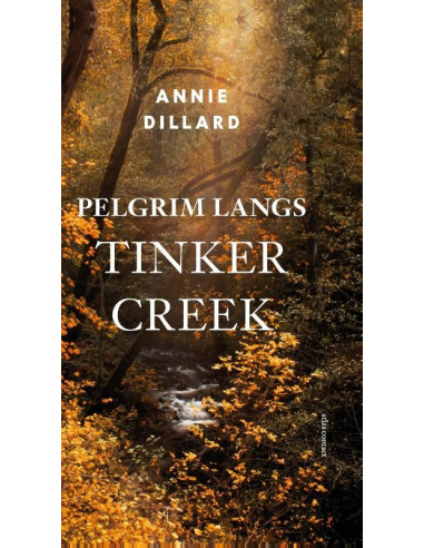 Pelgrim langs Tinker Creek