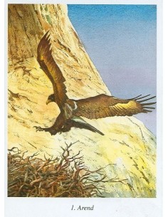 Bijbelse geschiedenis C...