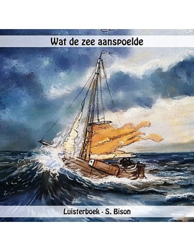 Wat de zee aaanspoelde  LUISTERBOEK