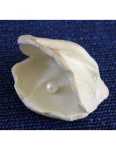 Beeld Parel in schelp ivoor...