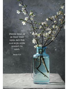 Poster steeds houd ik de...