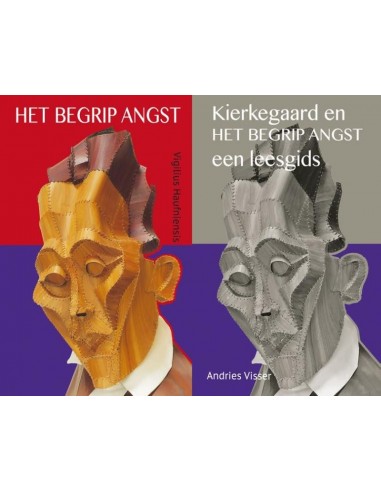 Begrip angst / leesgids set