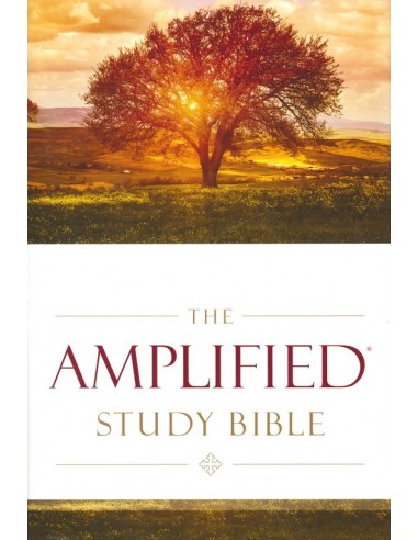 Amplified study bible