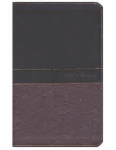 NKJV deluxe gift bible tan
