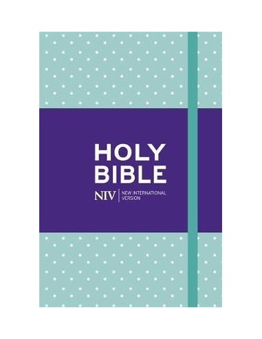 NIV notebook bible