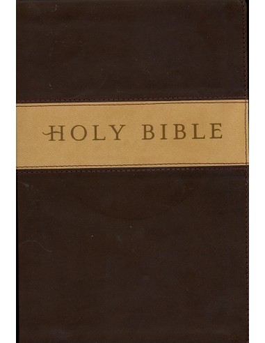NLT gift bible leather like brown tan