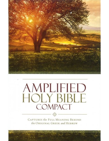 Amplified compact bible