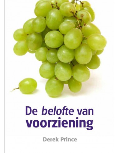 Belofte van voorziening