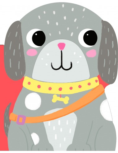 Sanders grote avontuur hond