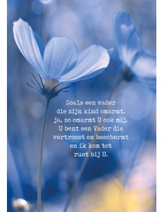 Poster zoals een Vader die...