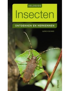 Insecten