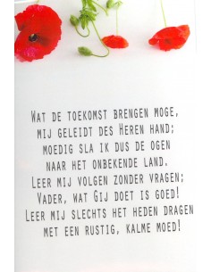 Wenskaart Wat de toekomst...