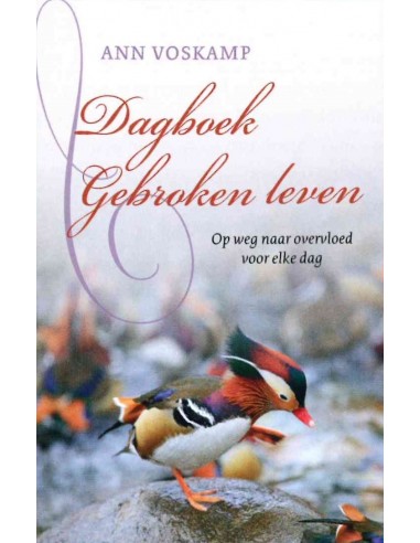 Dagboek gebroken leven