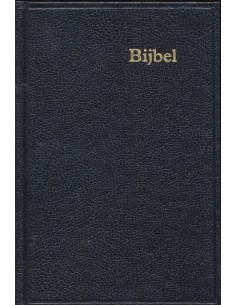 Schoolbijbel S20 kunstl