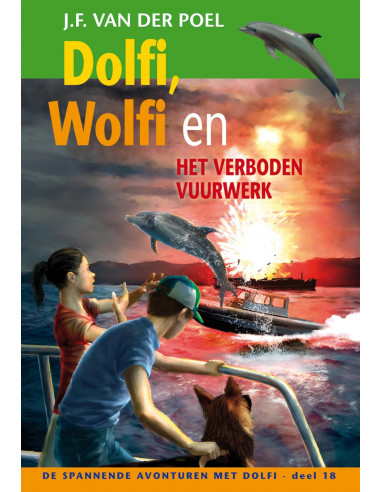 Dolfi Wolfi en het verboden vuurwerk dee