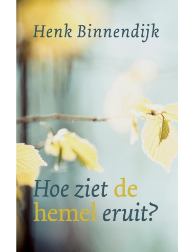 Hoe ziet de hemel er uit?