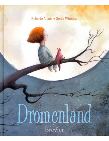 Dromenland