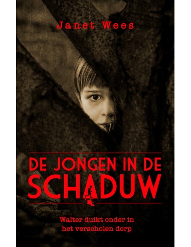 De jongen in de schaduw