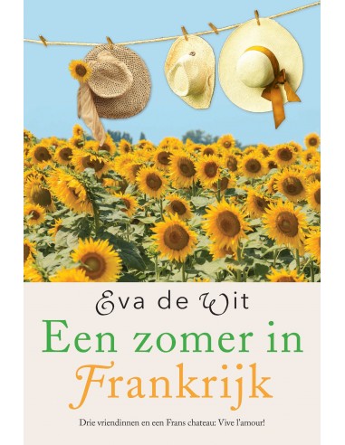 Een zomer in Frankrijk