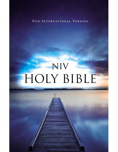 NIV outreach bible