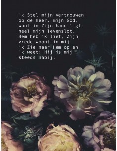 Poster stel mijn vertrouwen