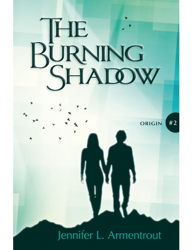 The Burning Shadow #2 Origin