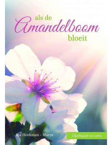 Als de amandelboom bloeit