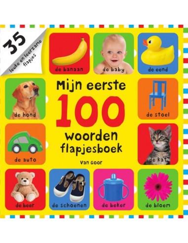 Mijn eerste 100 woorden flapjesboek