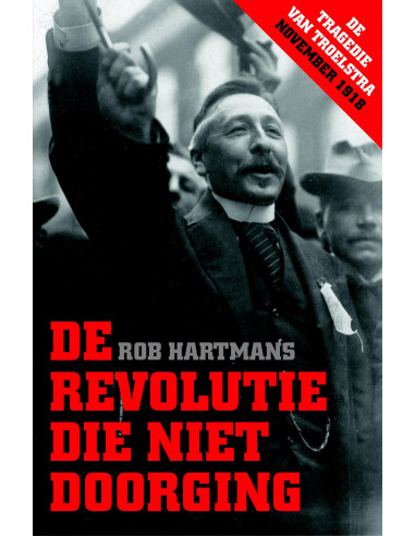 De revolutie die niet doorging