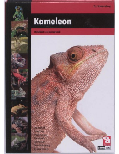 Kameleon