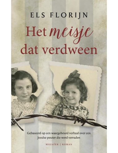 Het meisje dat verdween