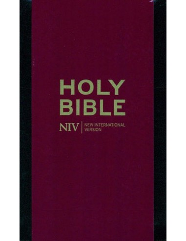 NIV pocket bible with zip