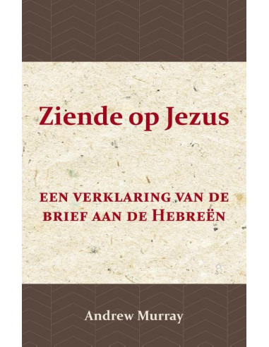 Ziende op Jezus