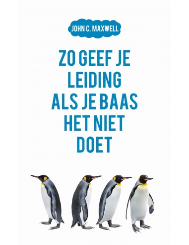 Zo geef je leiding als je baas het niet 