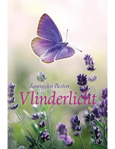 Vlinderlicht