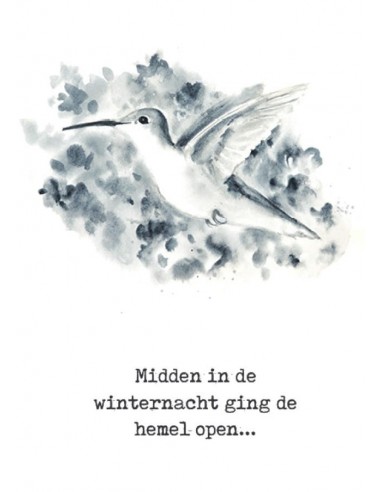 Midden in de winternacht vogel