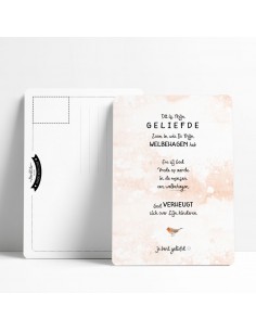 Dit is mijn geliefde Zoon