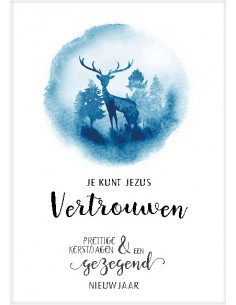 Kerstkaart je kunt Jezus...
