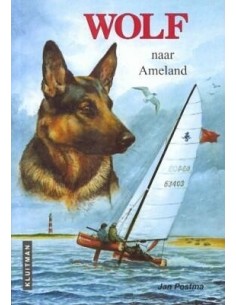 Wolf naar Ameland