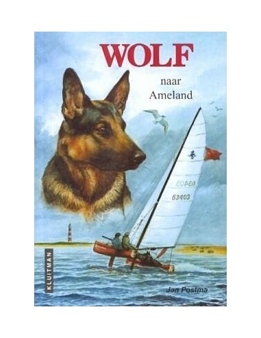 Wolf naar Ameland