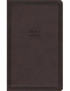 NIV - Value Thinline Bible