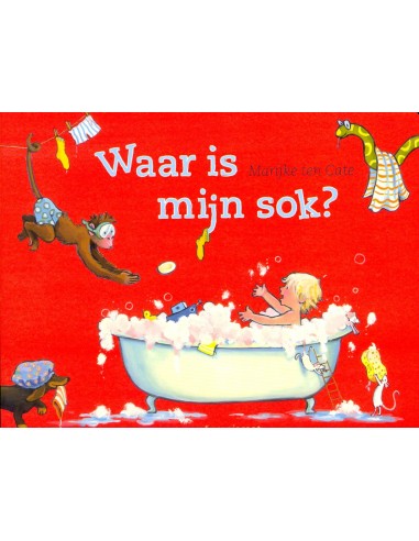 Waar is mijn sok kartonboek