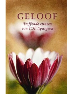 Pareltje Geloof