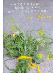 Wenskaart Ik vermag alle...