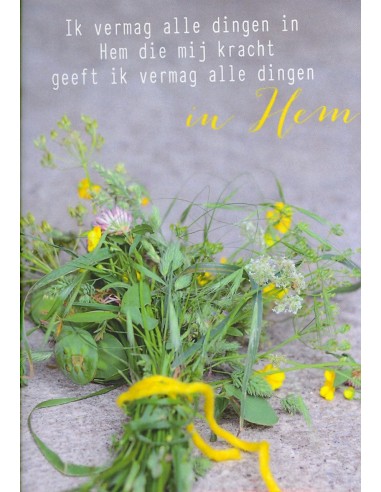Wenskaart Ik vermag alle dingen in Hem