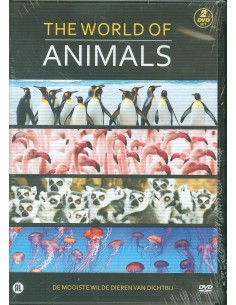 World of animals