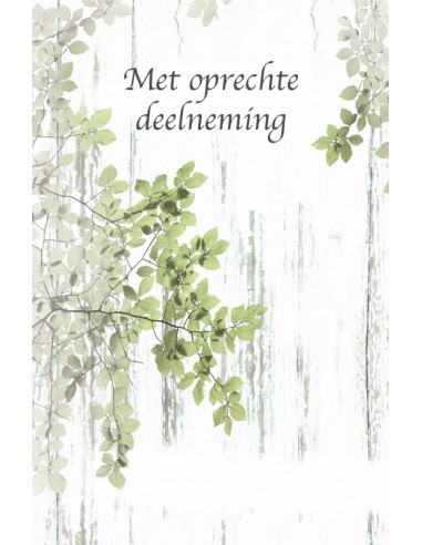 Deelneming