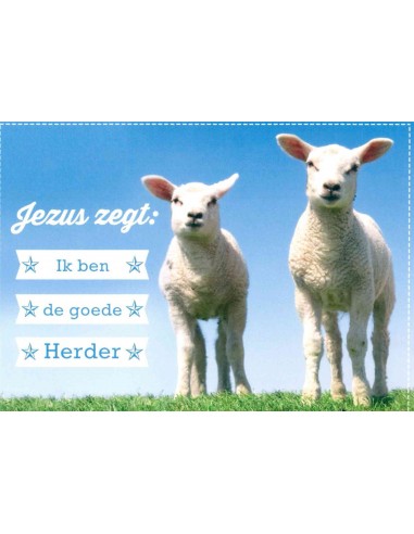 Jezus zegt : Ik ben de Goede Herder