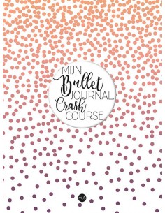 Mijn Bullet Journal Crash...