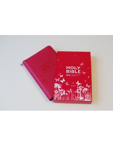 NIV pocket bible with zip